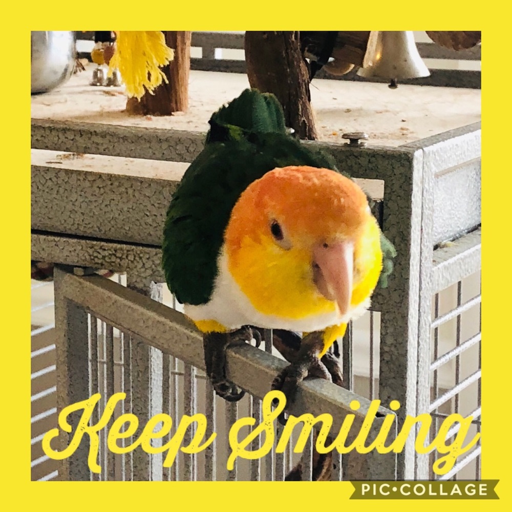 Meet your Posher, Sarah